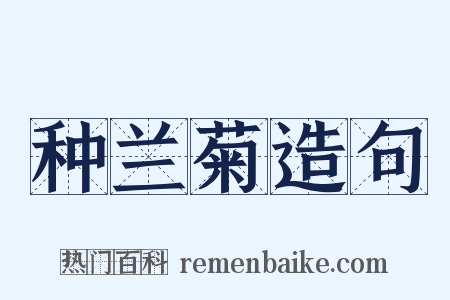 种兰菊造句是什么意思的图片